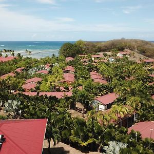 Le Village De La Pointe